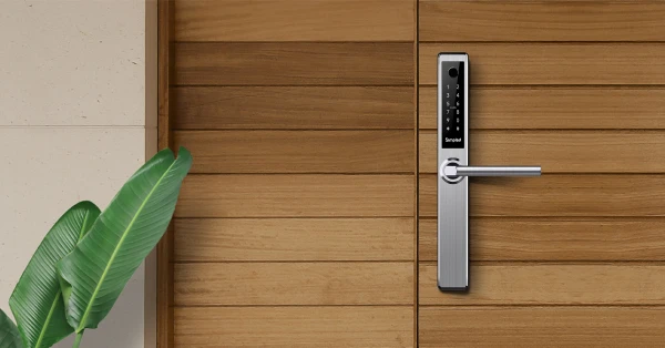 Electric Door Lock on wooden door