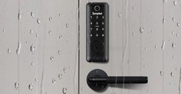 weatherproof Alexa front door lock